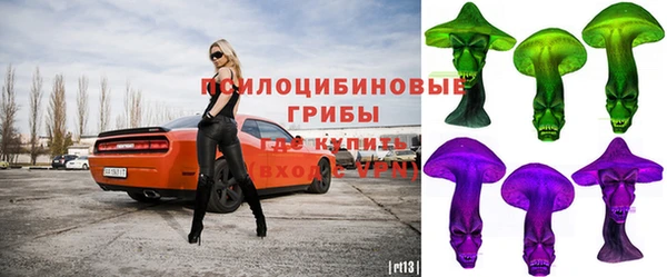 гидропоника Куйбышев