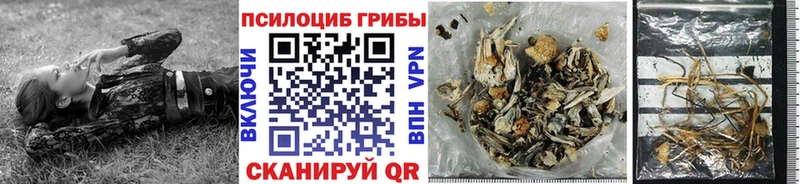 OMG онион  Куровское  Псилоцибиновые грибы Magic Shrooms  купить наркотик 